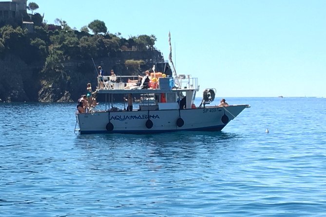 Cinque Terre Lunch boat tour - Who should book (and who should skip this one)