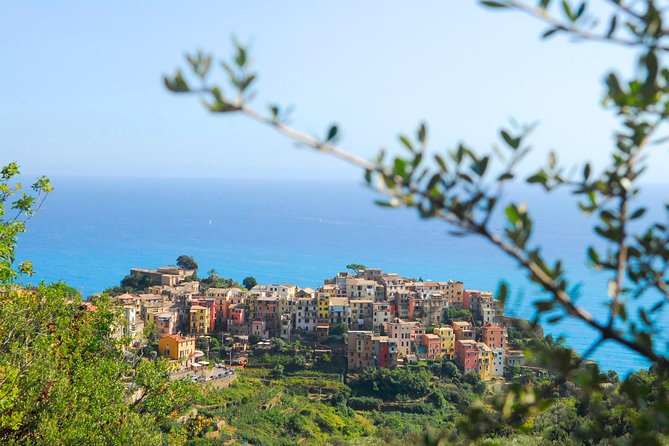 Cinque Terre Pesto Making Class, Boat Tour and Lunch - Why this Cinque Terre pesto-and-boat plan works (and saves you time)