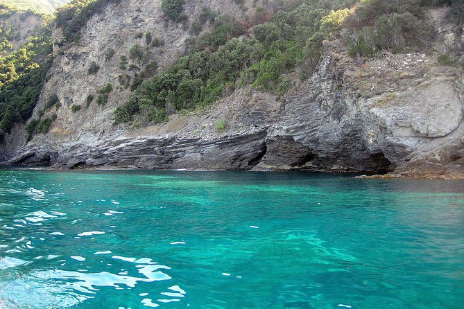 Cinque Terre Private Boat Tour - Manarola and Sciacchetrà: wine culture you can actually picture