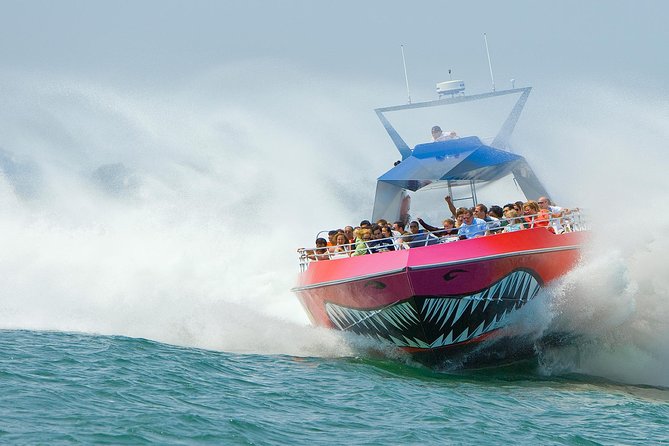 City Cruises Boston Codzilla High-Speed Thrill Boat Ride - Key Things I’d Notice First