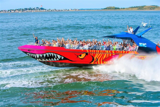 City Cruises Boston Codzilla High-Speed Thrill Boat Ride - Why Codzilla Feels Like a Water Coaster in Boston Harbor