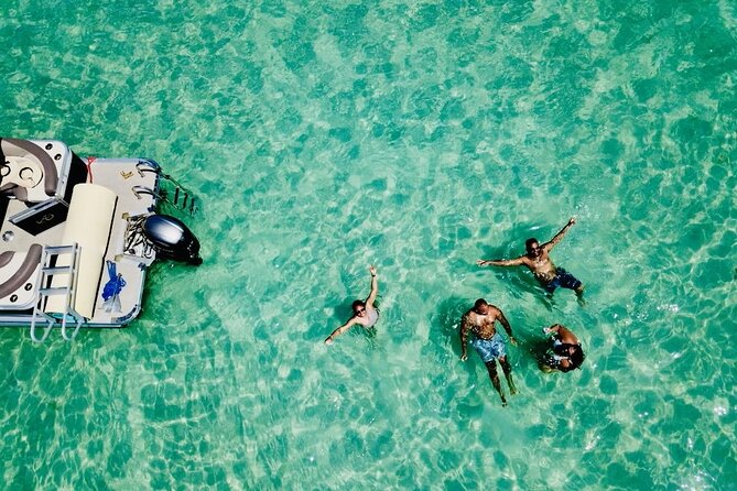 Clearwater Beach Private Pontoon Boat Tour for six - Honeymoon Island State Park: Shelling, Clear Water, and Easy Beach Time