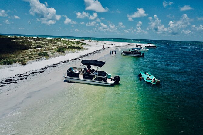 Clearwater Beach Private Pontoon Boat Tour for six - Anclote Key Preserve State Park: Wildlife-Watching Without the Pressure