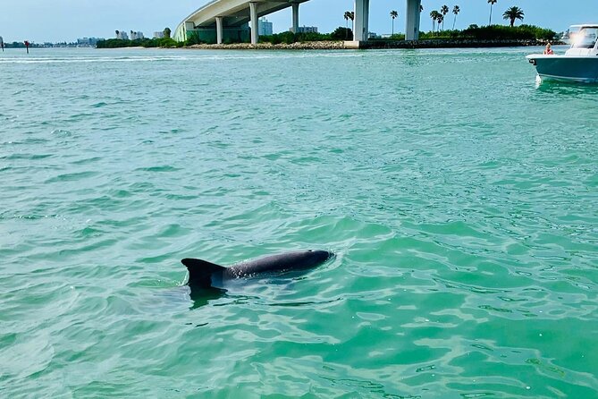 Clearwater Beach Private Pontoon Boat Tour for six - Clearwater Beach and the Coastline: Views You Can’t Get Standing Still
