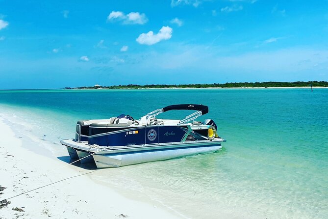 Clearwater Beach Private Pontoon Boat Tour for six - Three Rooker Island Sandbar: The Boat-Only Hangout for Shells and Dolphins