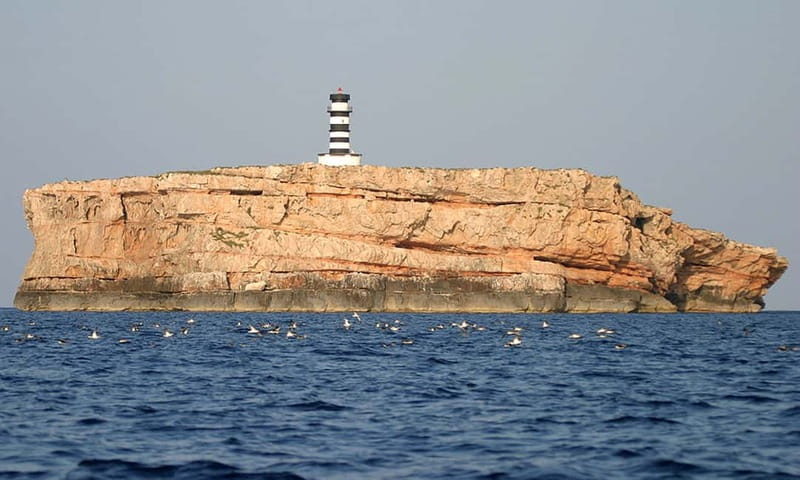 Colonia Sant Jordi: Premium & Fast Boat Tour around Cabrera - Key points before you go