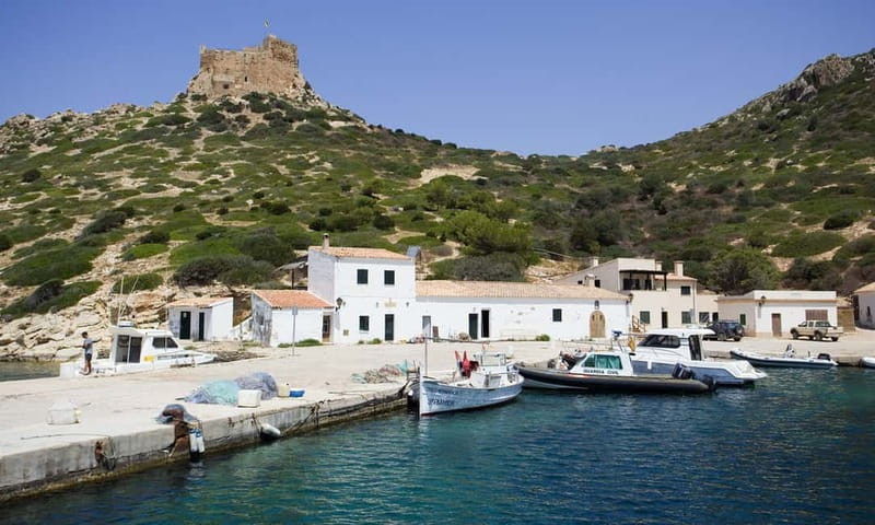 Colonia Sant Jordi: Premium & Fast Boat Tour around Cabrera - The Sa Cova blue cave swim stop (if conditions let you)