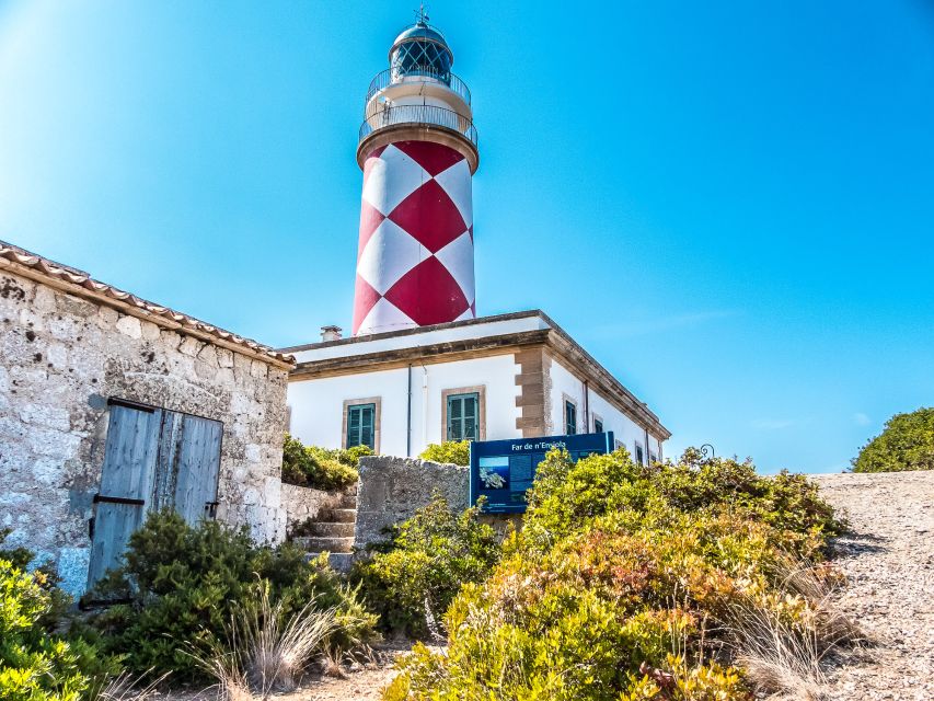 Colonia Sant Jordi: Premium & Fast Boat Tour around Cabrera - Who this tour suits best