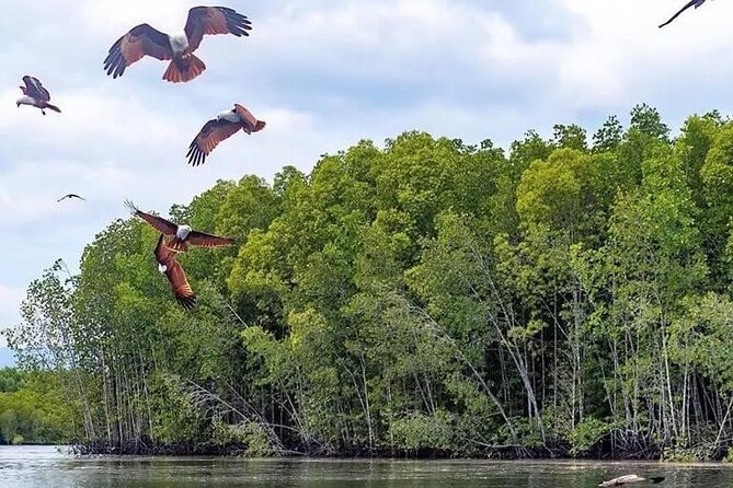 Combo - Cable Car & Sky Bridge And Tg. Rhu Mangrove Private Boat Tour With Lunch - Price and Value: What You’re Actually Paying For