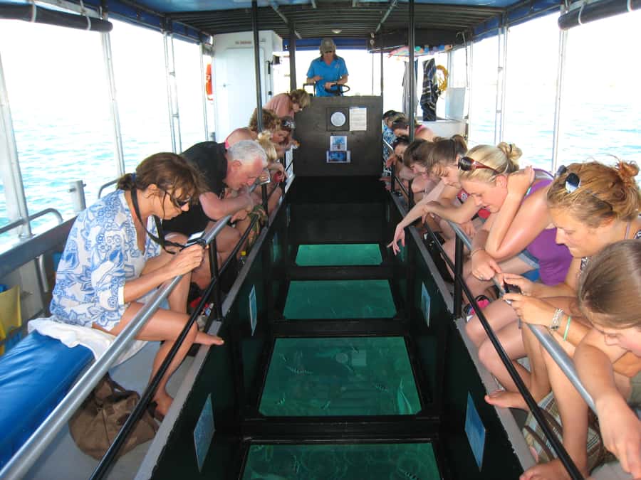 Coral Bay Glass-Bottom Boat Tour - The glass-bottom boat setup: Nhanya-Ku and the close-to-coral view