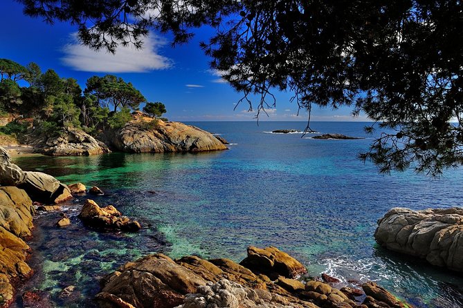 Costa Brava Small Group with Hotel Pick up and Boat Ride - Price and Value: Is $121.24 a Smart Deal?