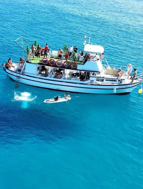 Costa Calma: Fuerteventura Dolphin Watching Boat Tour - Key things I’d know before you go