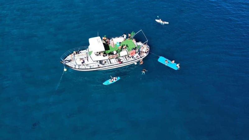 Costa Calma: Fuerteventura Dolphin Watching Zodiac Boat Tour - Who This Trip Suits Best