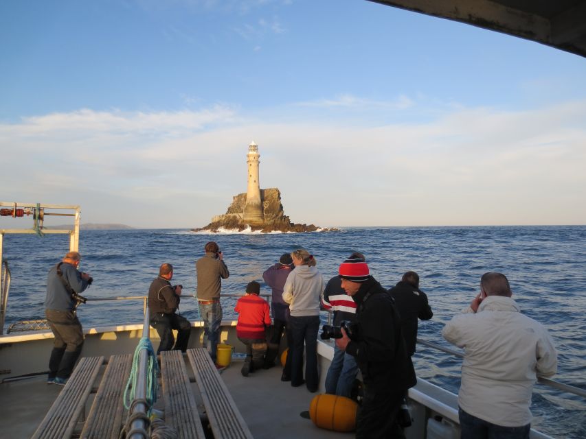 County Cork: Whale & Dolphin Watching Boat Trip - Price and Value: Is $51 Worth It?