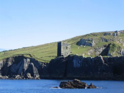 County Cork: Whale & Dolphin Watching Boat Trip - Meeting Up at North Pier: The Easy Part You Shouldn’t Skip