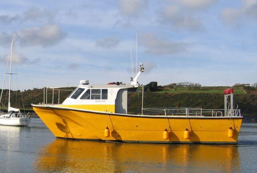 County Cork: Whale & Dolphin Watching Boat Trip - What the Cruise Feels Like: Offshore Islands and Rugged Sea Views