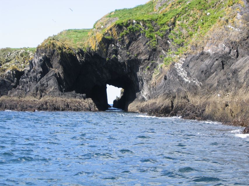 County Cork: Whale & Dolphin Watching Boat Trip - Staying Warm and Stable: What to Bring for Real Comfort