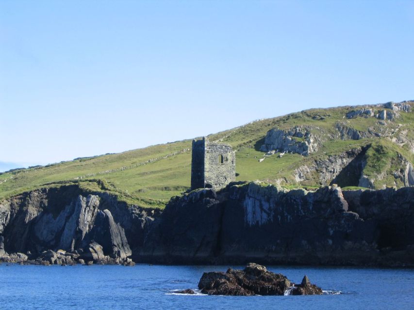 County Cork: Whale & Dolphin Watching Boat Trip - Meeting Up at North Pier: The Easy Part You Shouldn’t Skip
