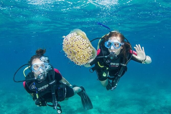 Crete-Chania: Snorkeling & Scuba Dive for Beginners by Boat - Key highlights at a glance
