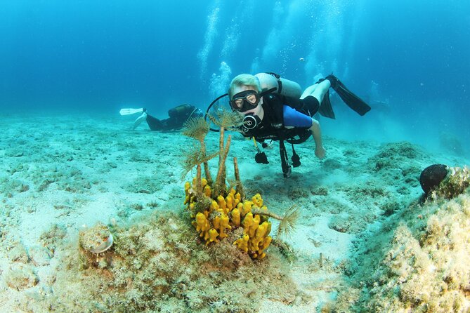 Crete-Chania: Snorkeling & Scuba Dive for Beginners by Boat - Beginner scuba in open water: how you actually get comfortable