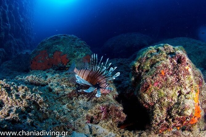 Crete-Chania: Snorkeling & Scuba Dive for Beginners by Boat - What’s included (and what you should bring)