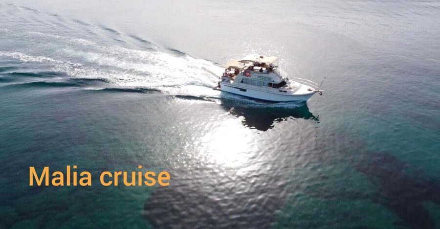 Crete: Snorkeling Boat Trip with Lunch and Transfer - What You’ll See Underwater (and Why It’s Worth the Mask)