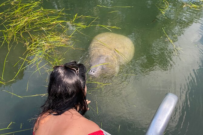 Crystal River: Private Manatee Boat Tour - Key Points That Matter Before You Go
