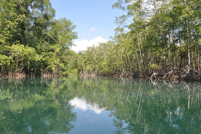 Damas Island Mangrove Boat Tour with Wildlife from Manuel Antonio - Key things to know before you go