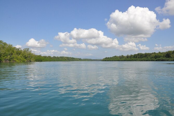 Damas Island Mangrove Boat Tour with Wildlife from Manuel Antonio - Comfort, Safety, and Small Frictions on the Water