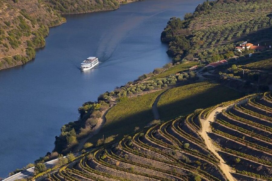 Day Cruise from Porto to Pinhão with Breakfast and Lunch - Cruising the Douro’s dams: Carrapatelo, Crestuma-Lever, and the river’s engineering