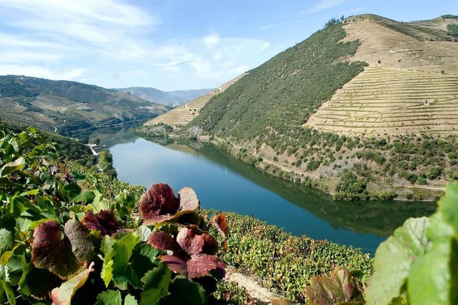 Day Cruise from Porto to Pinhão with Breakfast and Lunch - Pinhão winery visit: what the tasting is like and what to expect
