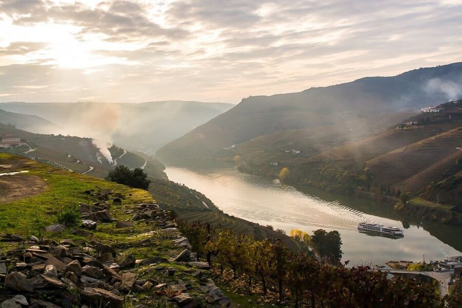 Day Cruise from Porto to Pinhão with Breakfast and Lunch - Return to Porto by bus: plan for the late-day finish