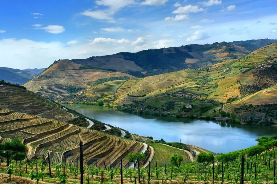 Day Cruise from Porto to Pinhão with Breakfast and Lunch - Price and value: why $123 feels fair for a full river day