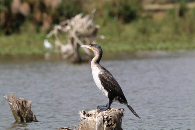 Day tour to Hell's Gate National park and optional Boat ride on lake Naivasha - What to pack for a Hell’s Gate biking day