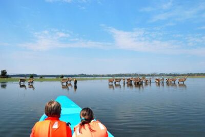 Day Tour To Lake Nakuru Park With Optional Boat Ride on Lake Naivasha - Lake Nakuru game drive: where the flamingos steal the show