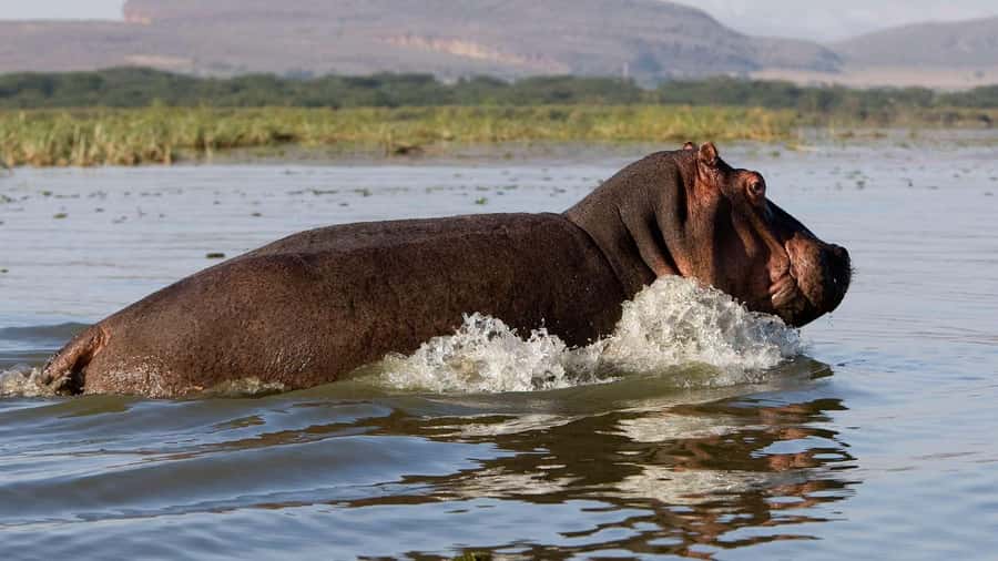 Day Trip: Hell's Gate Bike Ride & Lake Naivasha Boat Ride - Rift Valley road trip: the drive sets the tone