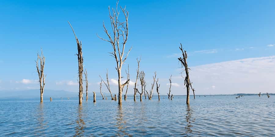 Day Trip: Hell's Gate Bike Ride & Lake Naivasha Boat Ride - Hell’s Gate National Park by bike: the 16 km you’ll remember