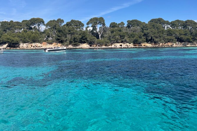 Discover the Lérins Islands and the Bay of Cannes by Private Boat - Meeting at Port Pierre Canto and getting out quickly