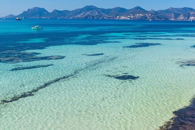 Discover the Lérins Islands and the Bay of Cannes by Private Boat - Stop 3: Ile Sainte-Marguerite cove time