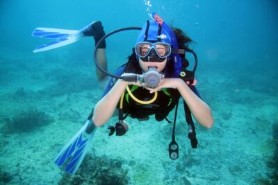 Diving Full Day 2 Stops Boat Trip For Beginners With Lunch and Transfer–Hurghada - Price and Logistics: What You’re Really Paying For