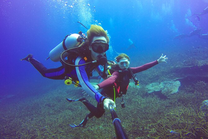 Diving Full Day 2 Stops Boat Trip For Beginners With Lunch and Transfer–Hurghada - Between Sessions: Lunch, Drinks, and Time to Swim or Snorkel