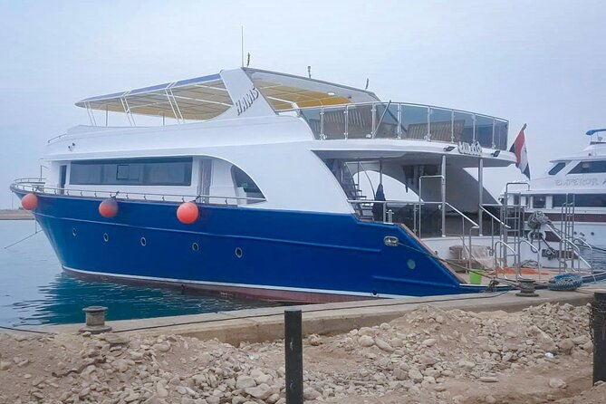 Diving Full Day 2 Stops Boat Trip For Beginners With Lunch and Transfer–Hurghada - Second Underwater Stop: Another Chance to Get Comfortable