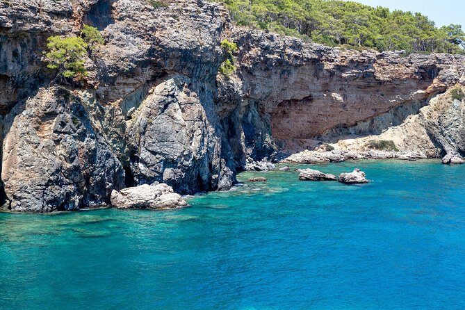 Dolphin Island Boat Trip – Swim, Sun & Lunch Included - Dolphin and Turtle Chances: How Wildlife Viewing Works Here