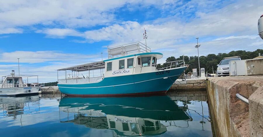 Dolphin Safari Boat Trip from Marina Funtana - Should you book the Dolphin Safari from Marina Funtana?
