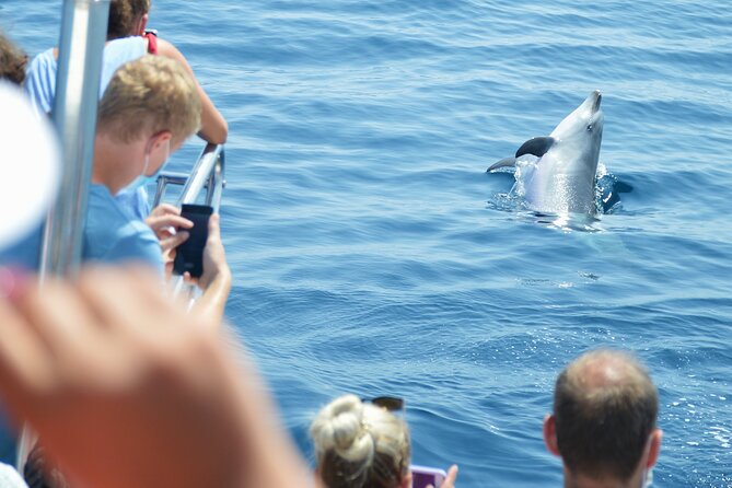 Dolphin Sightseeing Boat Tour from Benalmadena - Torrequebrada and the Casino Line: When the Coast Gets More Urban