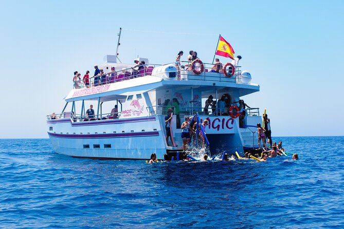 Dolphin Sightseeing Boat Tour from Benalmadena - Where You Sit Matters Less Than You Think (Mostly)