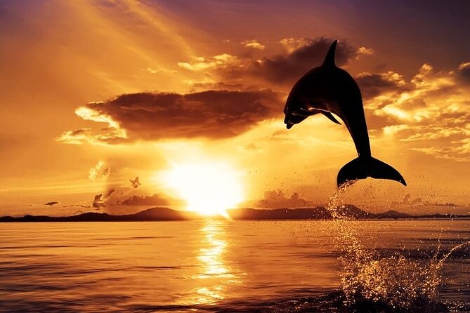 Dolphin Watching & Sunset Boat Tour With Dinner and Drinks - Why This Brijuni Sunset Cruise Feels Worth the Time