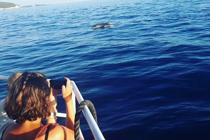 Dolphin Watching & Sunset Boat Tour With Dinner and Drinks - Dinner and Unlimited Drinks: How the Meal Fits the Cruise