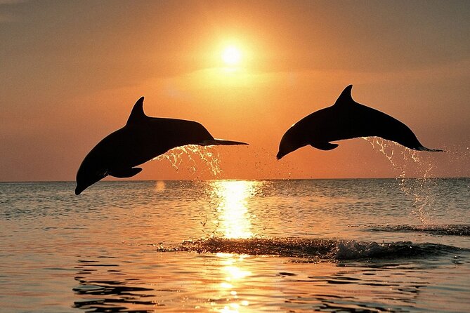 Dolphin Watching & Sunset Boat Tour With Dinner and Drinks - Brijuni’s Coastline: Peneda Lighthouse and Tito’s White Villa Area