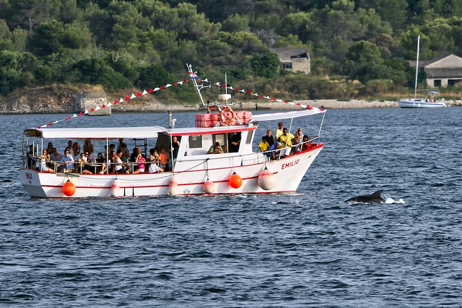 Dolphin Watching Sunset Boat Trip in Pula with Dinner - Cruise Stop One: Brijuni National Park Waters